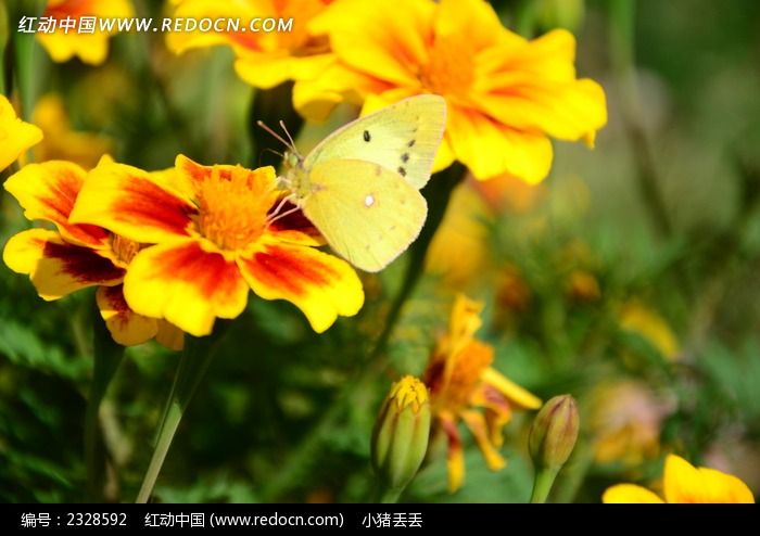 ���޷��޾��ϵĺ���ͼƬ