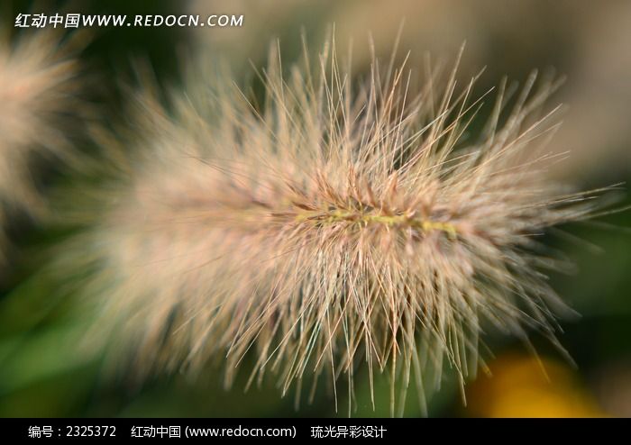 ��β�Ͳ�ͼƬ