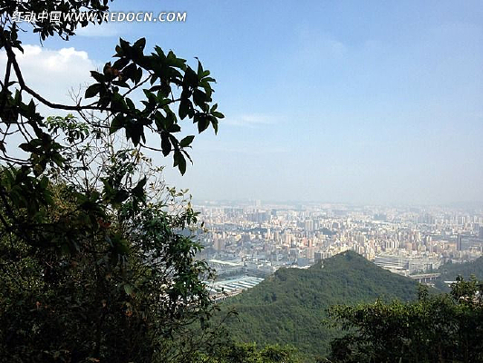 ɽ������