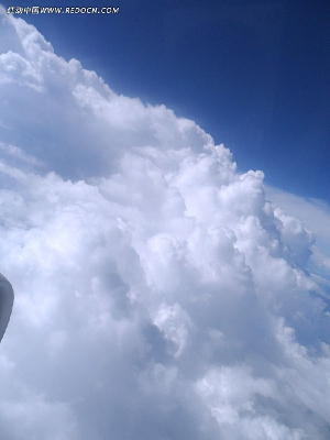 ���ĵ����