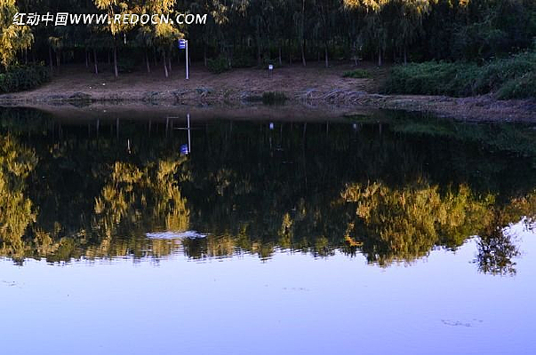 ������浹Ӱ