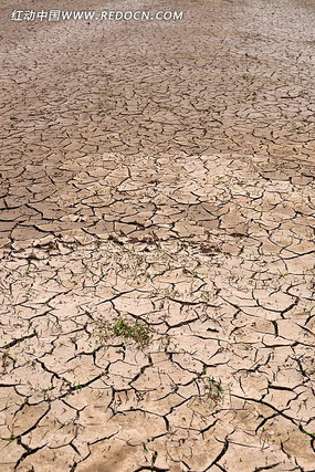 ���ѵ�����