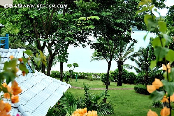 �Ƶ��̻���