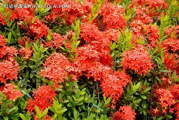 �̻�����Ļ�