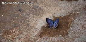 �¶��ĺ���