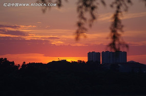 ������ϼͼ