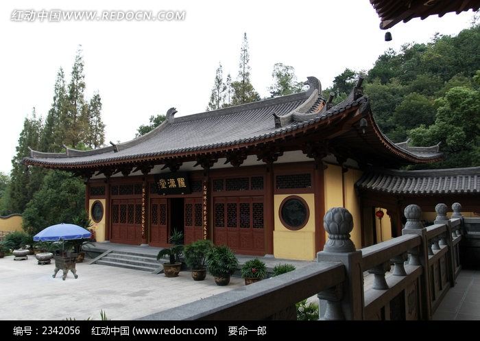 ���ݻ������޺���ͼƬ