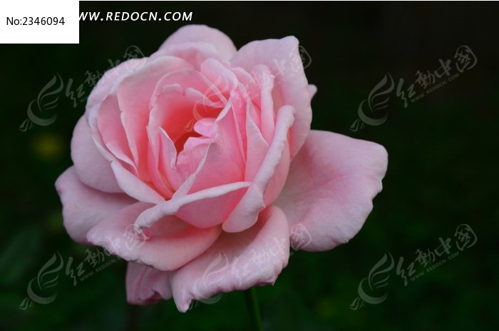 ���ʽ����¼���ͼƬ