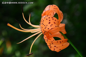 ���߾���