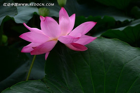 �·�����