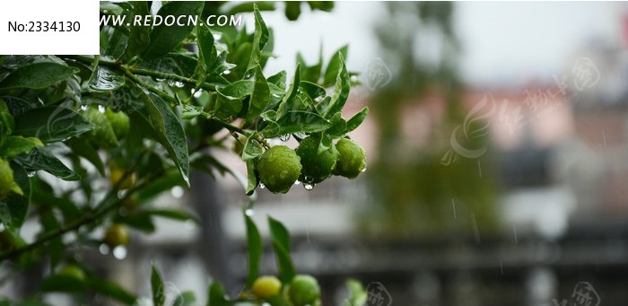 ��ԡ�����е�����ͼƬ