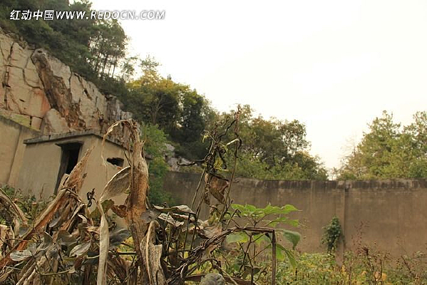 ����С��