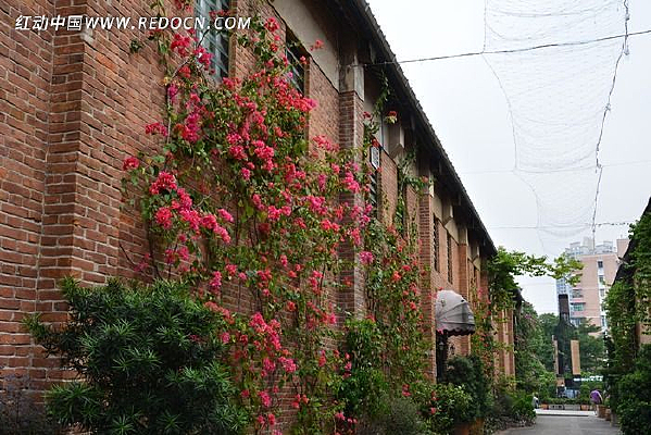 ��ש����