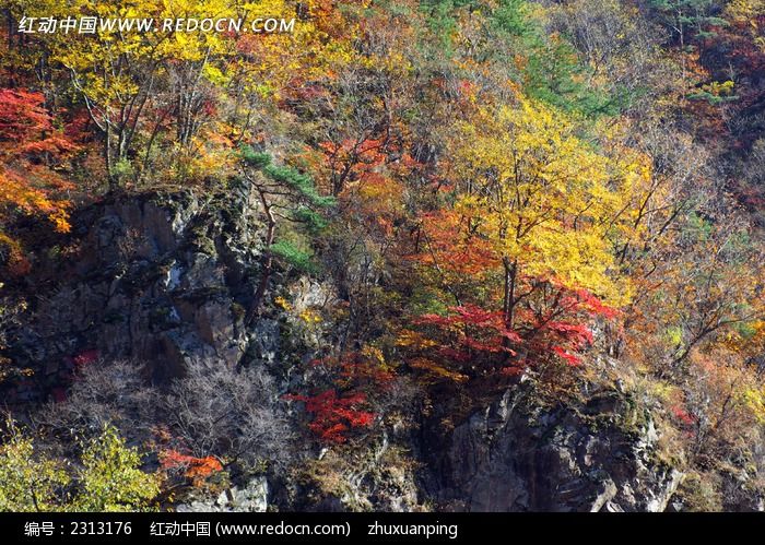 ������ʯ�Ӻ���ַ羰ͼƬ