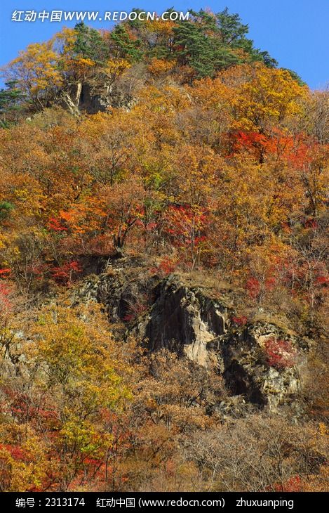 ��ʯ����ɽ����ַ��ͼƬ