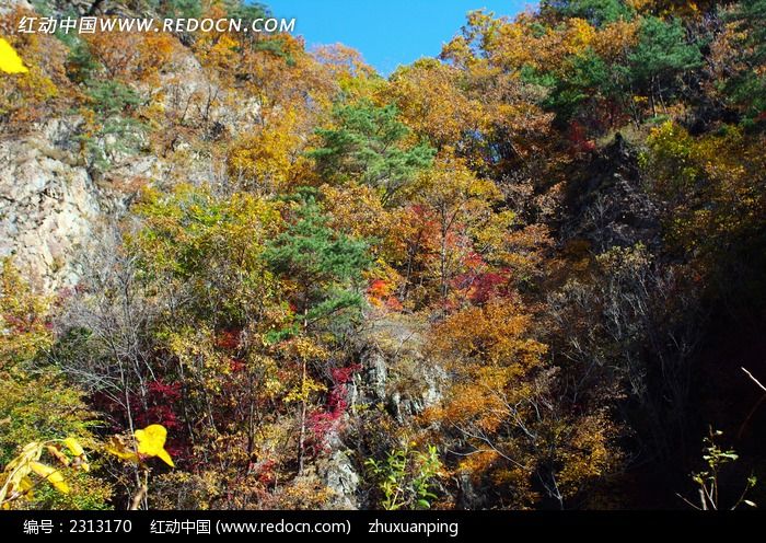 ��ʯ�ӷ羰��ͼƬ