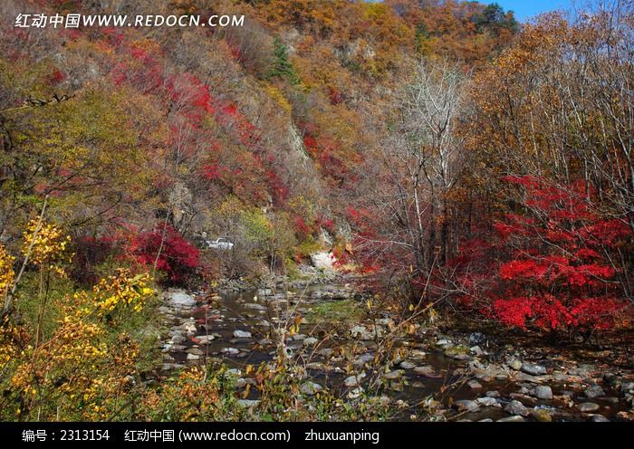 ɽ����ֺ���ͼƬ
