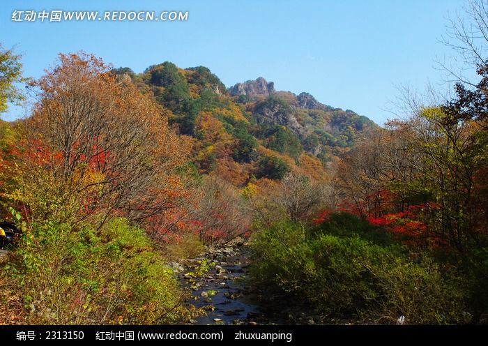 �＾��ʯ��ɭ�ַ��ͼƬ