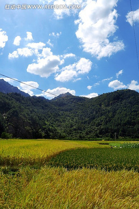 ��ɽ����