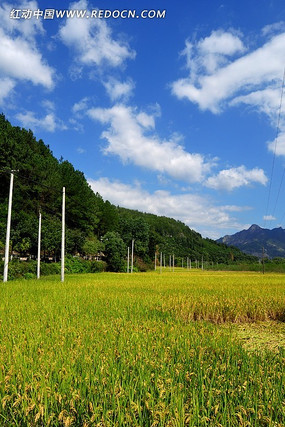 �����µ�����