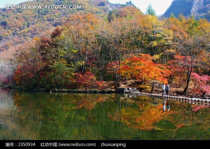 ��ʯ�Ӻ�Ҷ�����羰ͼƬ