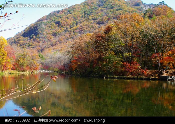 ��ʯ�ӷ����ﾰͼƬ