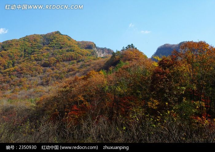 �����＾����ͼƬ