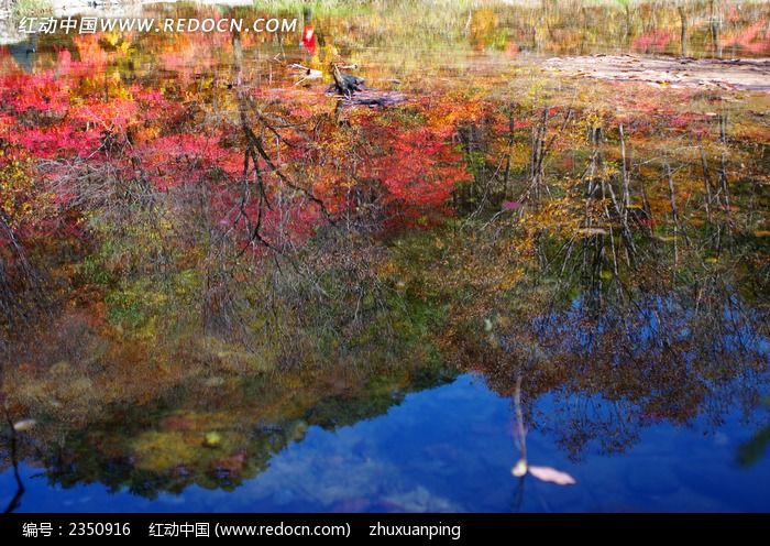 ���ֺ�����ӰͼƬ