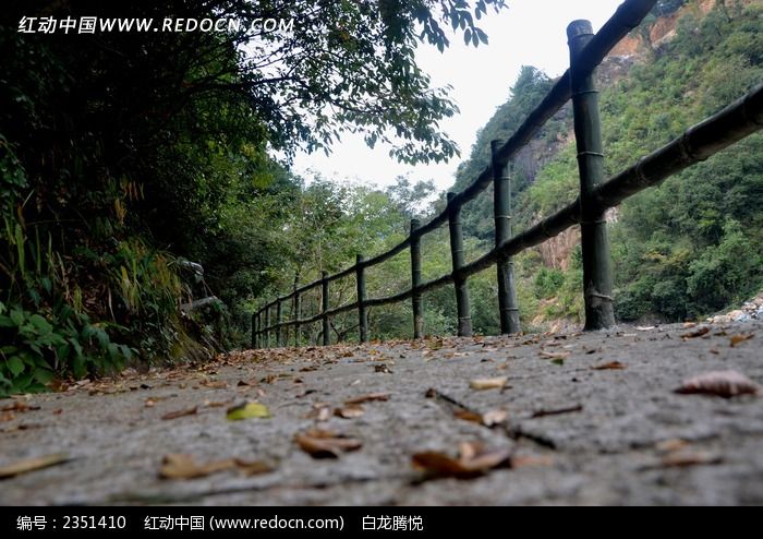 ��ţ����ɽջ����дͼƬ