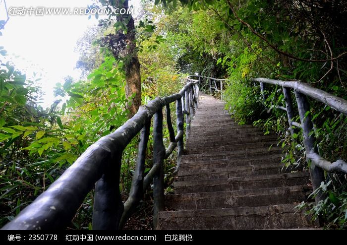 ��ţ��ʯ��ͼƬ