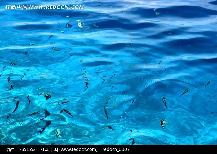 ˮ�еĺ�ˮ��ͼƬ