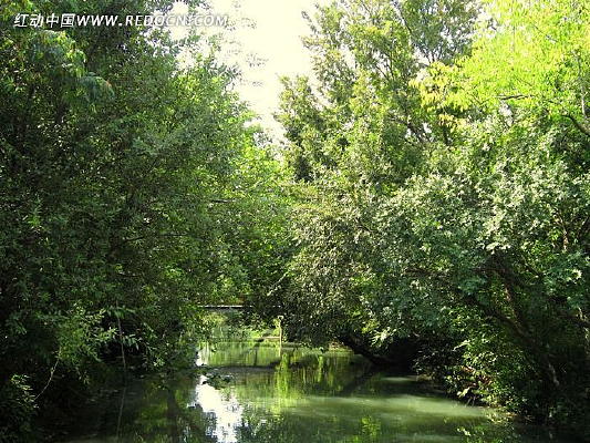 ��԰����