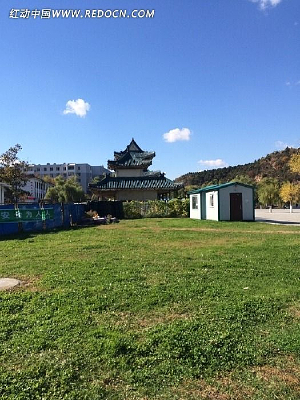 ��ɫ�ݵغ�����