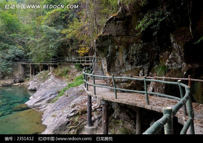 ��ţ��ջ��ͼƬ