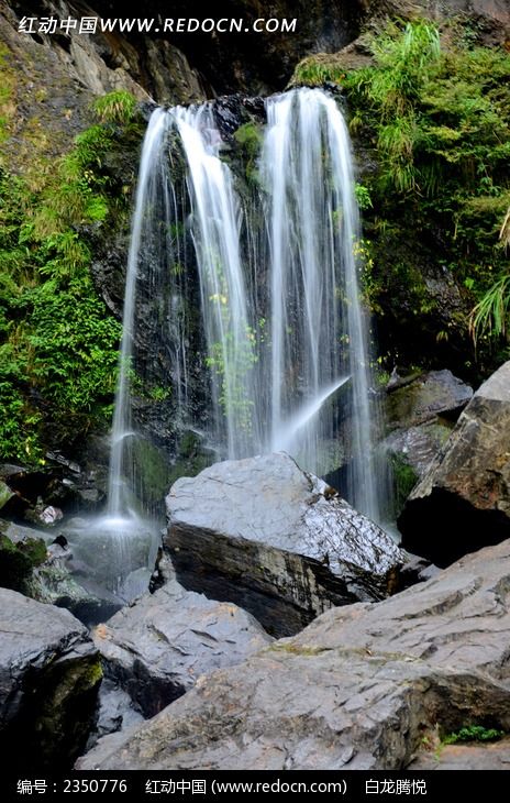 ��ţ���ٲ�ͼƬ