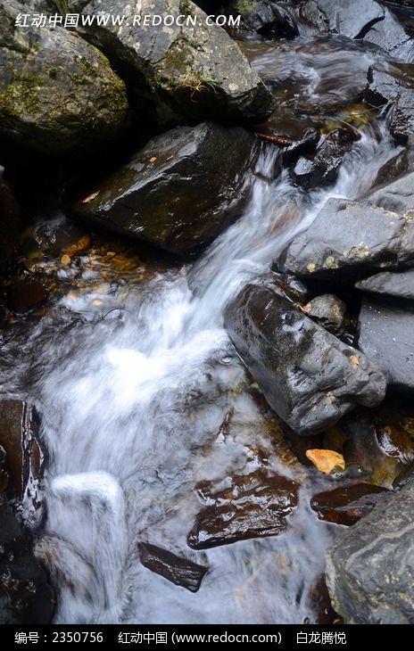 ��ţ��ɽȪͼƬ