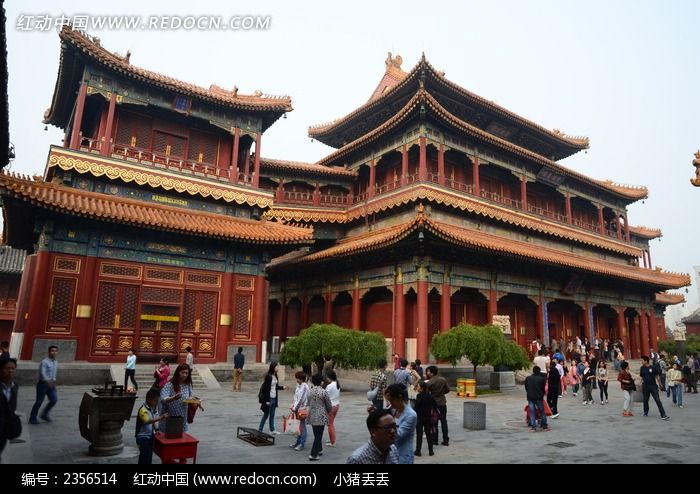 Ӻ�͹���������ͼƬ