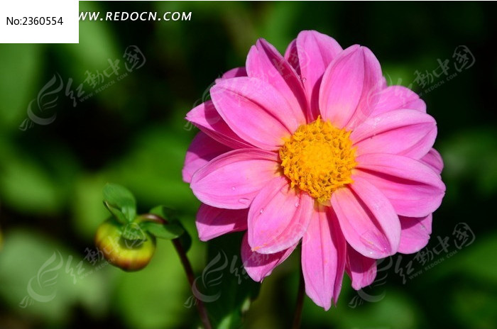 ��ɫ����������ͼͼƬ