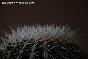 �ڰ�������