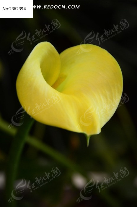 ��ɫ����������ͼƬ