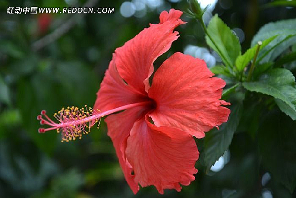 ���ɫ���Ȼ�