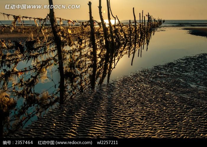 ��̲�ϵ�դ��ͼƬ