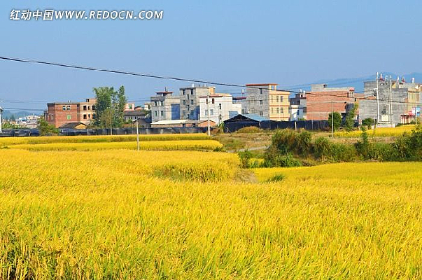 ��Ӳӵ���԰