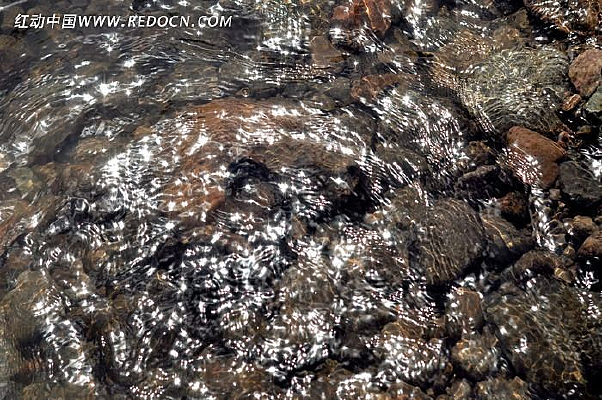 �������ԵĽ�ˮ