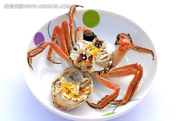 �����ɿ�