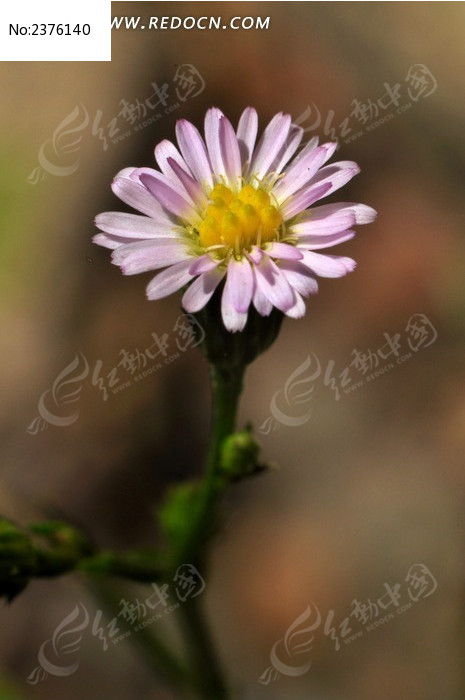 �۰�ɫ��С��ͼƬ