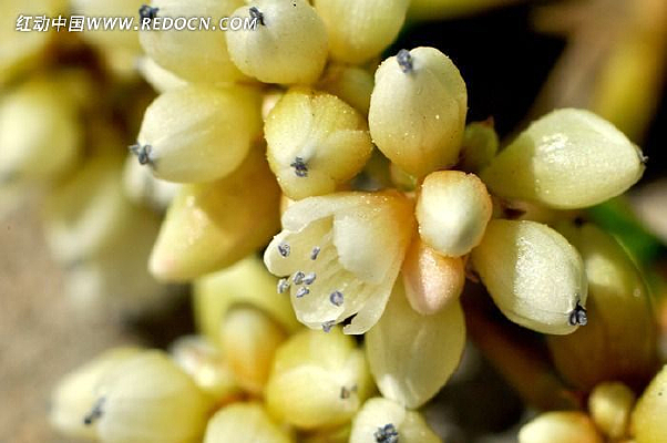 ������С