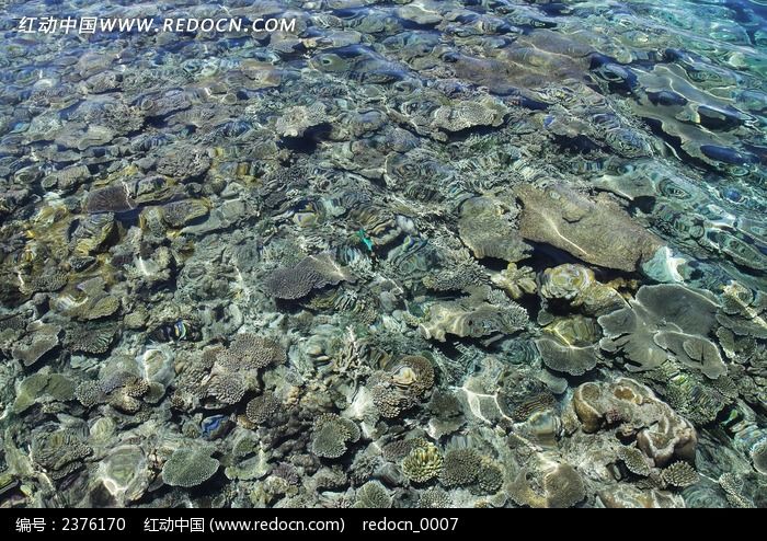 ��������ˮ��ɺ����ͼƬ