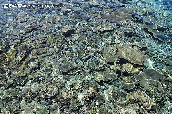 ��������ˮ��