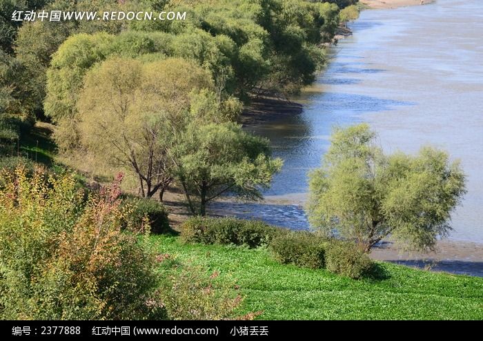 ���ߵ�����ͼƬ